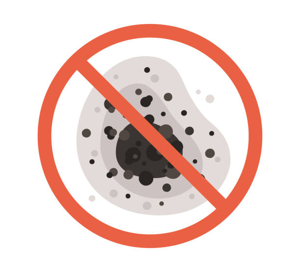 Best Black Mold Removal  in Guadalupe, CA