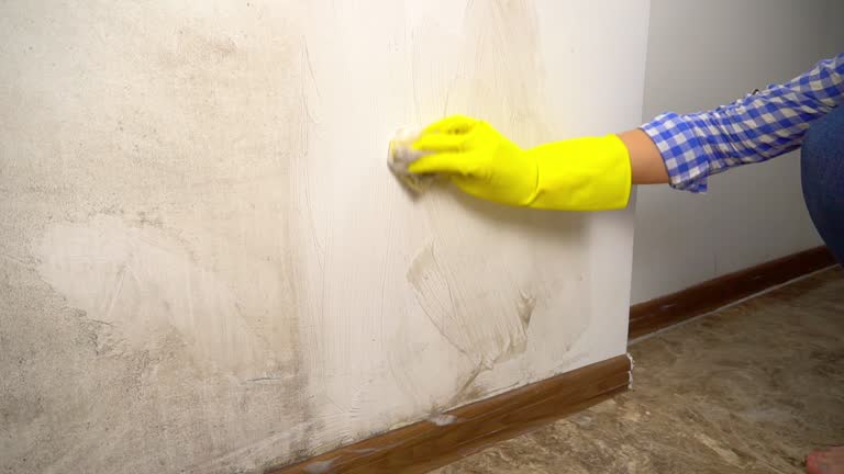Best Airborne Mold Testing  in Guadalupe, CA