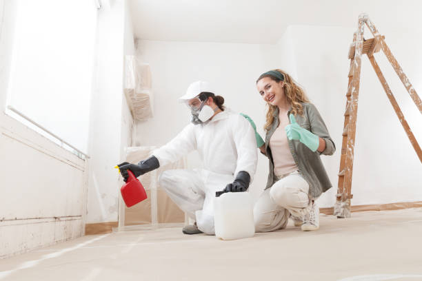 Best Post-Remediation Verification Testing  in Guadalupe, CA