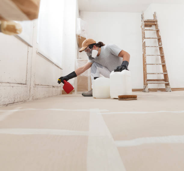 Best Mold Documentation for Insurance Claims  in Guadalupe, CA