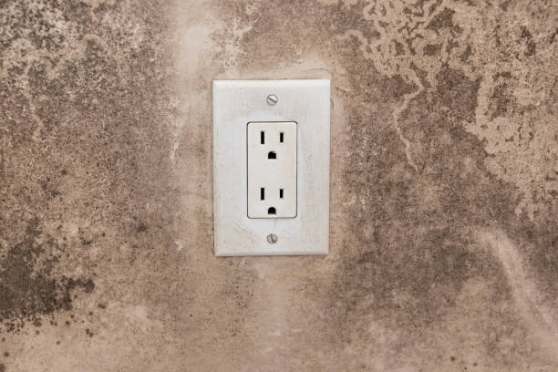 Best Mold Remediation for Rental Properties  in Guadalupe, CA